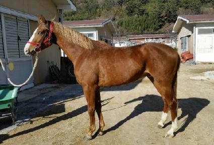 �м����� ����