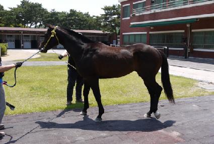 ��·�� ����