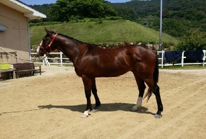 ��õ���̽� ����