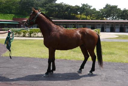 ��ī��� ����