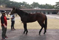 ��ƮƮ�� (HAT TRICK) ����