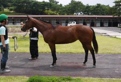 ���ں��� ����