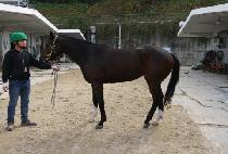 ���������� (HAPPY TODAY) ����