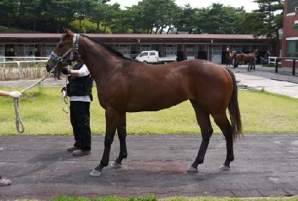 ���ȣ�� ����