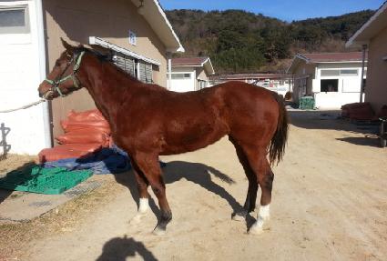 ����� ����