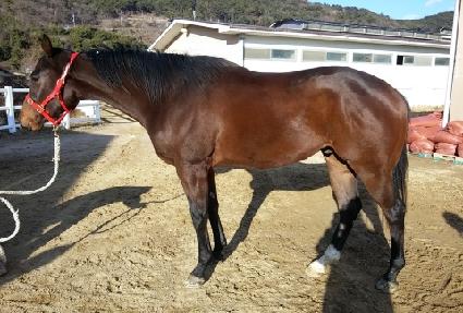 �۽�ƮŬ���� ����