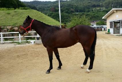 ����ž ����