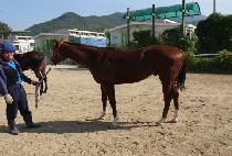 ���ο�ô� (SAEROUN SIDAE) ����