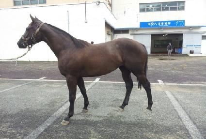 ����Ʈ������ ����