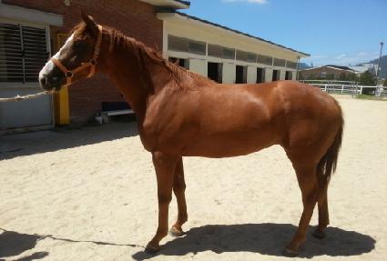 �㸮�������� ����