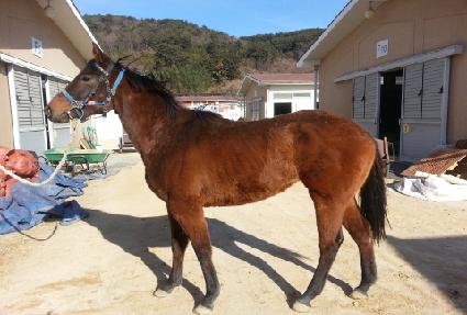 �𽽺� ����