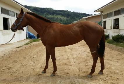 ������Ʈ ����