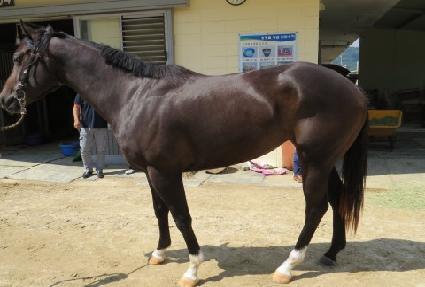 �������� ����