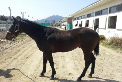 ���� ����