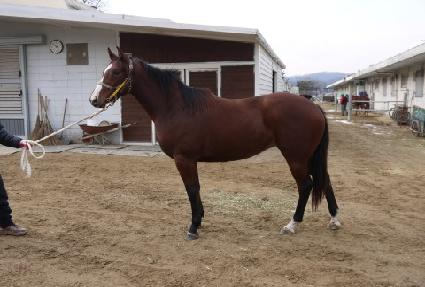 ������ ����