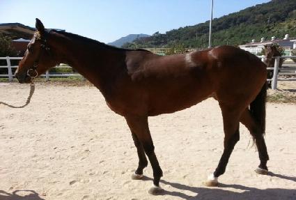 �ְ���ȥ ����