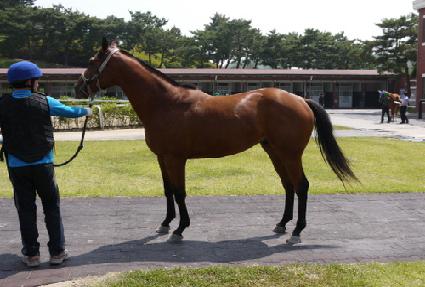 ������� ����