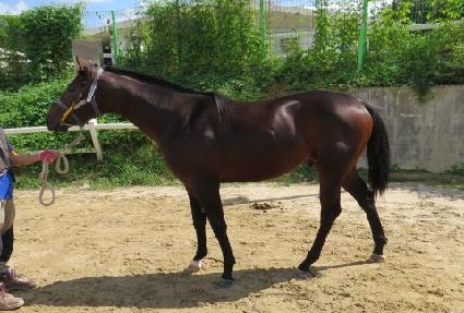 ����ŷ ����