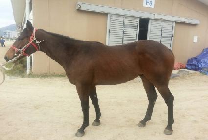 �ٸ� ����