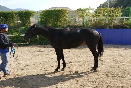 ������ ����