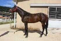 ���ڴ¿����� (SAEMSONNEEUNENERGY) ����