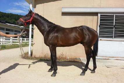 ���ڴ¿����� ����