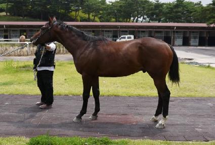 ��Ȳ ����