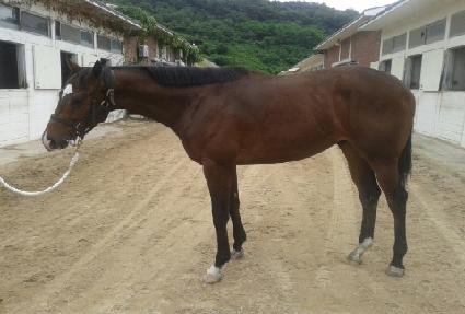 ���������� ����