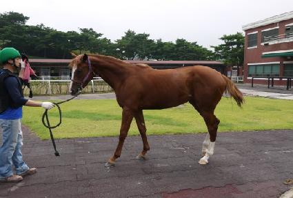 ����ǻ�� ����