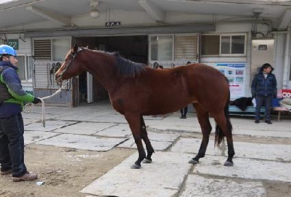 ���ֽ�ȭ ����