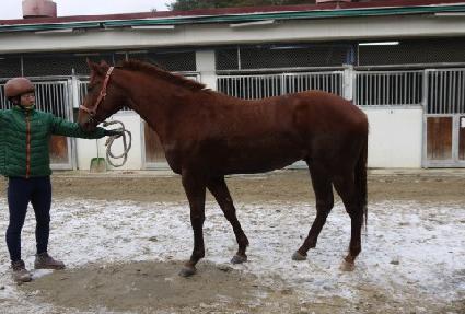 ���Ļ� ����