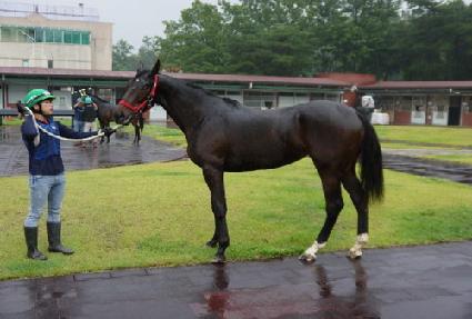 �ݼ��̰��� ����