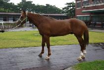 ��Ÿ�� (LA TACHE) ����