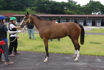 ��ȣ�ٶ� ����