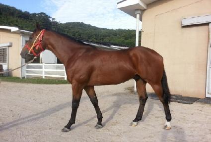 �ֽ����� ����