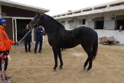 ���α۷θ� ����