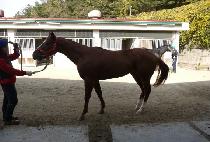 ����Ʈ�ε� (BEST ROAD) ����