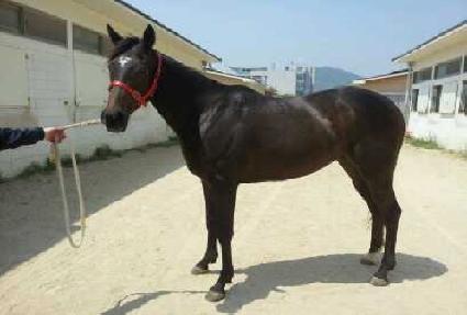 �������� ����