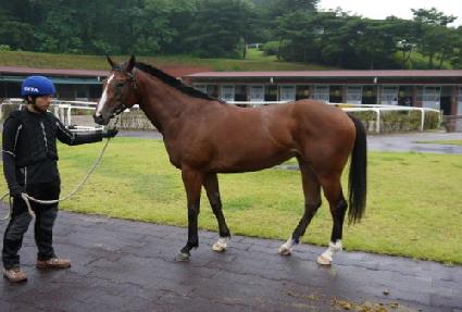 ��õ���丮 ����