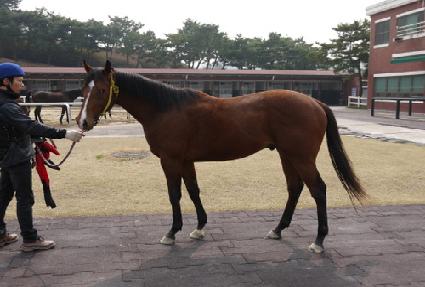 ��Ƽ���� ����