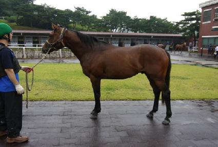 �̽�����ũ ����