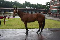 ��������� (Thunder Hero) ����