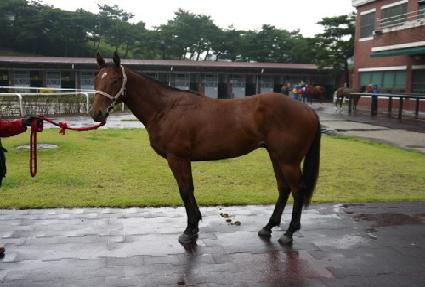 ��������� ����