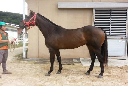 ���̺����̵� ����