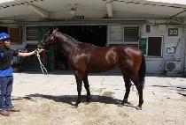 ��Ʈ���� (BOLT SIGN) ����