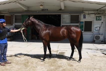 ��Ʈ���� ����