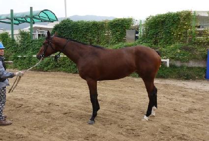 ������̽� ����