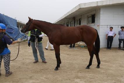 �󰨸��� ����