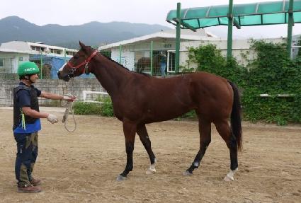 ��մ�� ����