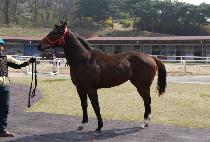 ��Ÿ������ (FANTASY BOY) ����